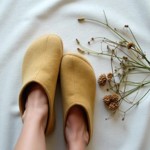 Indoor Shoes